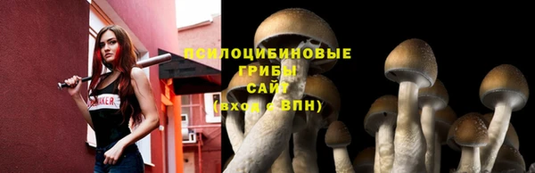 марихуана Заводоуковск