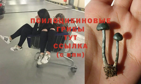 марихуана Заводоуковск