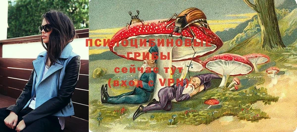 сатива Заволжск
