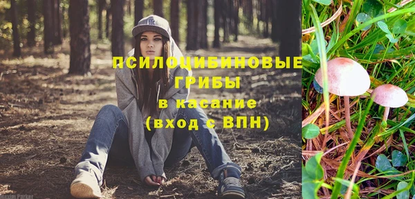 сатива Заволжск