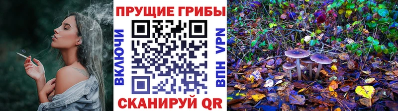 Купить  Енисейск  Галлюциногенные грибы мухоморы 